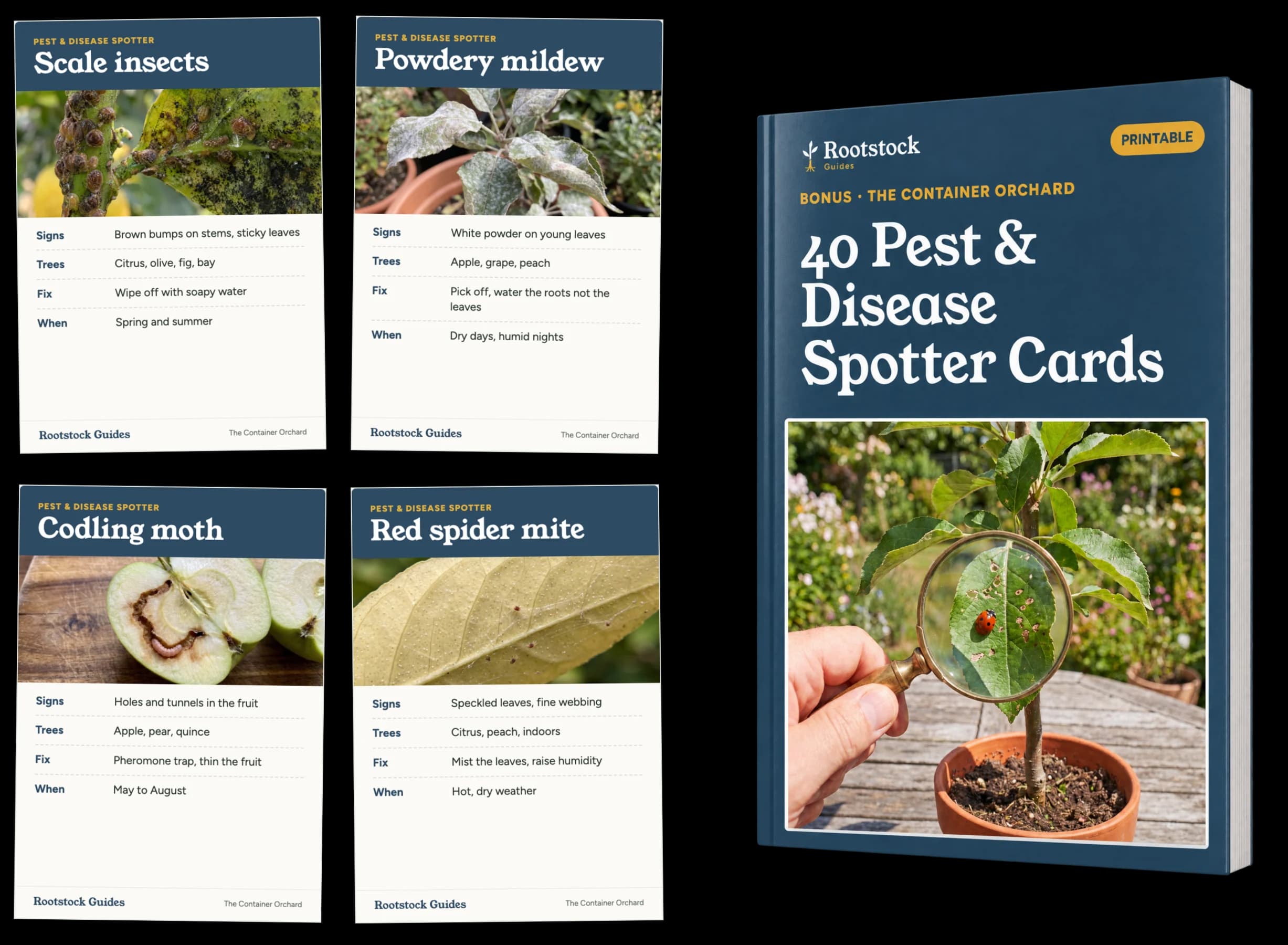 40 pest and disease spotter cards