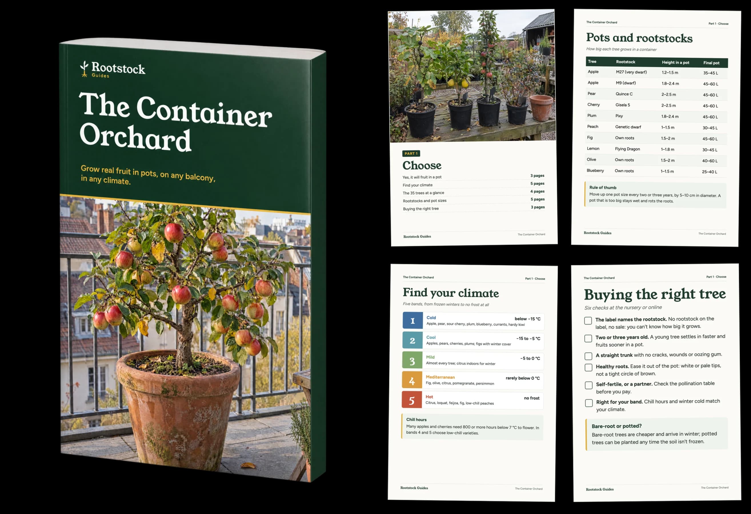 Part 1: Choose, sample pages