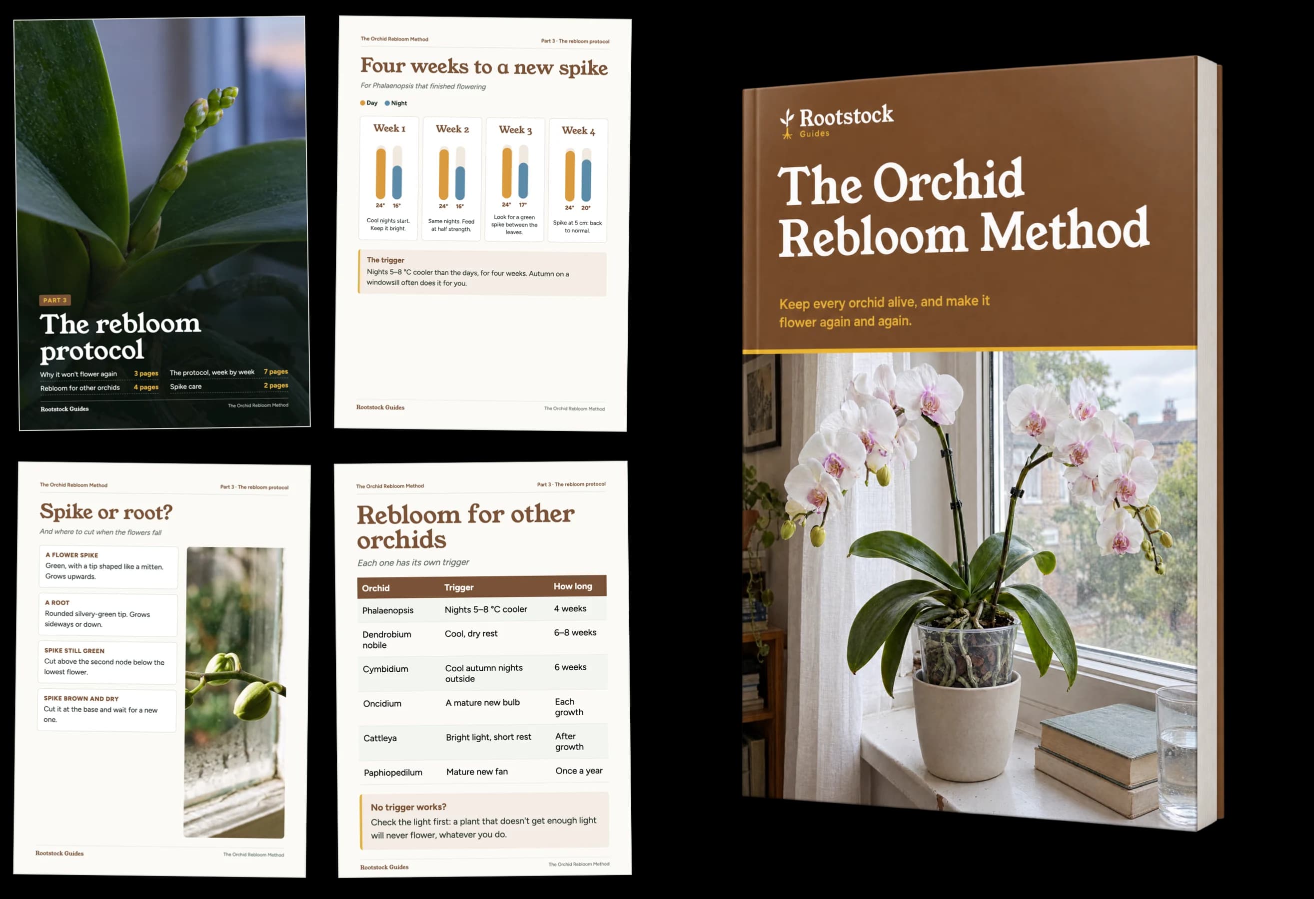 Part 3: The rebloom protocol, sample pages